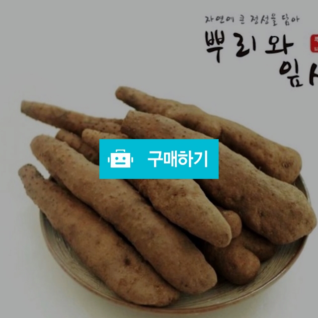 2021 안동 햇 산마 무료배송, 33,500원, 뿌리와잎새 [디비디비] 2021 안동 햇 산마 무료배송 | 33,500원