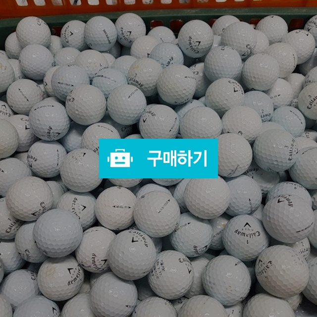 갤러웨이 혼합 50알 A-급 B급 / 골드림님의 스토어 / 디비디비 / 구매하기 / 특가할인