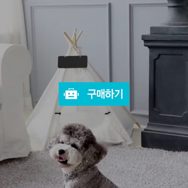 강아지 인디언텐트 애견하우스 고양이집 / 마이독님의 스토어 / 디비디비 / 구매하기 / 특가할인