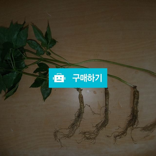 산양삼 / 산삼나라 / 디비디비 / 구매하기 / 특가할인