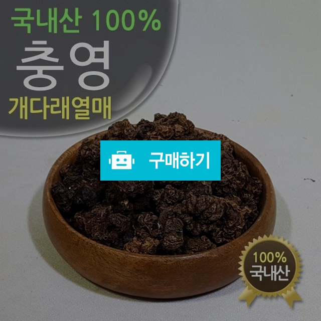 진도허브 국내산 충영 개다래 개다래열매 300g / 약선식품과 청정 진도 농특산 / 디비디비 / 구매하기 / 특가할인