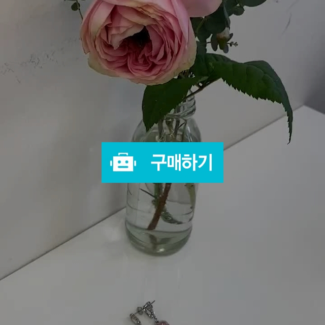 Rose lips in the ocean / 업타운 머메이드 / 디비디비 / 구매하기 / 특가할인