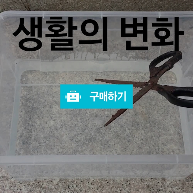 찌든때 제거제 설거지 행주 삶은효과 / 놀라운쇼핑 / 디비디비 / 구매하기 / 특가할인