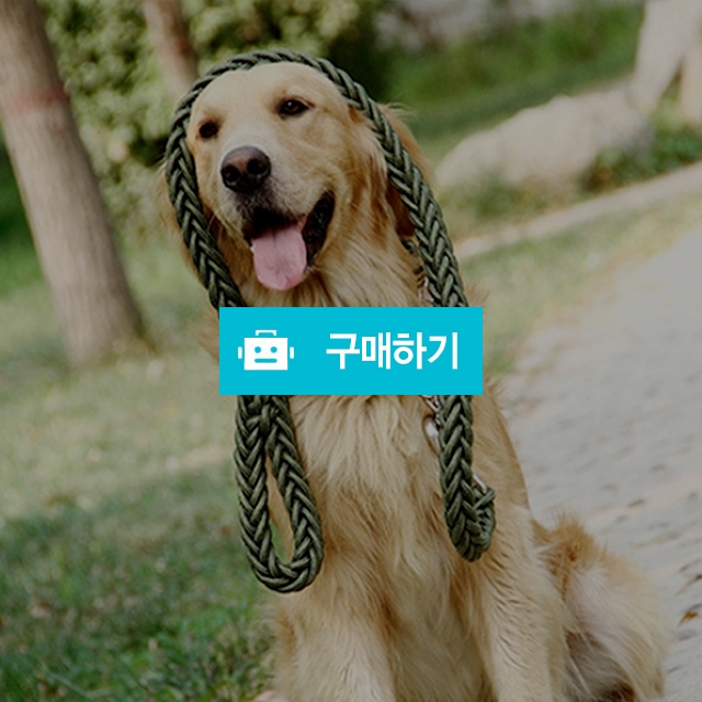 마이독 중형견 대형견목줄 / 마이독님의 스토어 / 디비디비 / 구매하기 / 특가할인