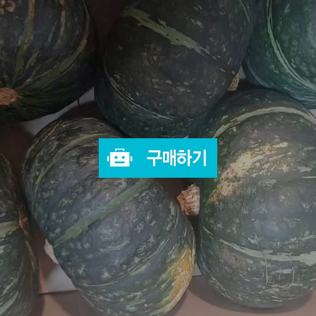 국산 밤 단호박 5kg 10kg / 별빛나라 / 디비디비 / 구매하기 / 특가할인