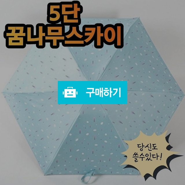 20대 초경량 5단 암막 레이스 우양산 양산 우산 자외선차단 꿈나무스카이 / 비바채님의 스토어 / 디비디비 / 구매하기 / 특가할인
