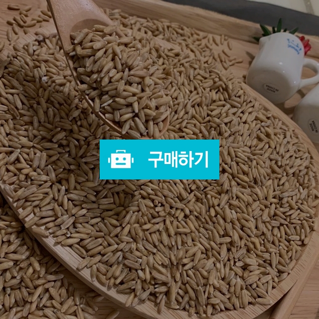 귀리(캐나다산) / 대박유통 스토어 / 디비디비 / 구매하기 / 특가할인