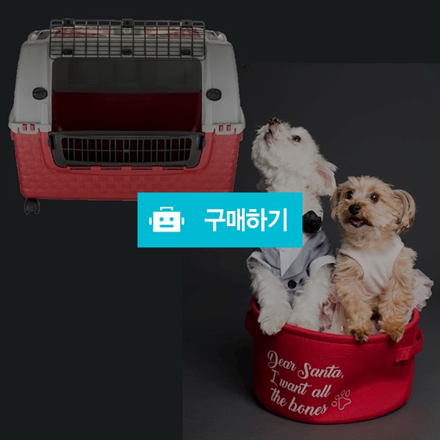 바마 강아지 고양이 이동가방 여행 캐리어 켄넬 애견 개 반려동물 이동장 케이지 40kg / 다모아아토즈님의 스토어 / 디비디비 / 구매하기 / 특가할인