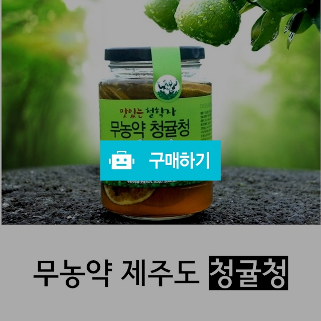 제주도 무농약 청귤청 500g, 벌크, 청귤칩, 감귤칩 / 현옥쇼핑님의 스토어 / 디비디비 / 구매하기 / 특가할인
