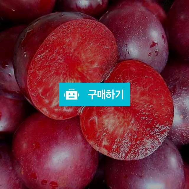 체리자두 1kg / 영 프루트 Young Fruits / 디비디비 / 구매하기 / 특가할인