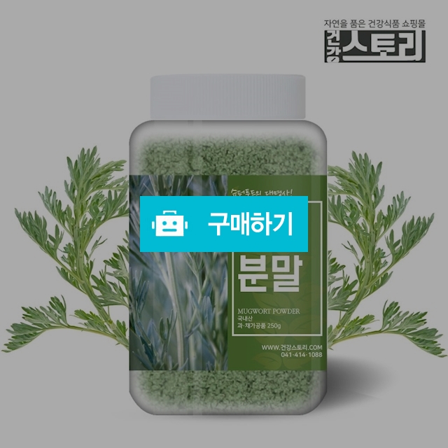 건강스토리 국내산 쑥분말 250g / 건강스토리 / 디비디비 / 구매하기 / 특가할인