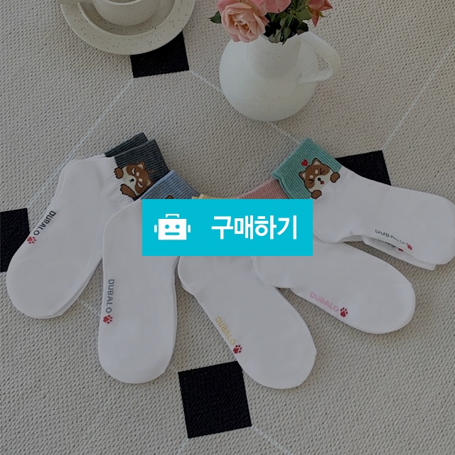 [당일출고] 10켤레 여성 깜찍다람쥐 카바양말 / 앤어바웃 / 디비디비 / 구매하기 / 특가할인