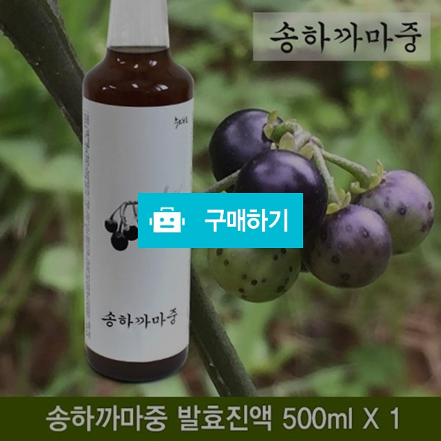 송하 까마중효소 / 힐링룸(Healing Room) / 디비디비 / 구매하기 / 특가할인