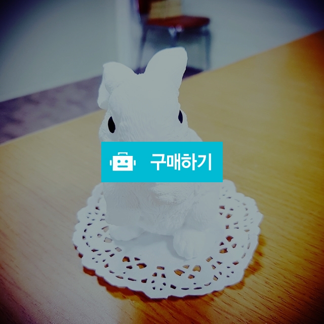 토끼방향제 / 조은석고방향제님의 스토어 / 디비디비 / 구매하기 / 특가할인