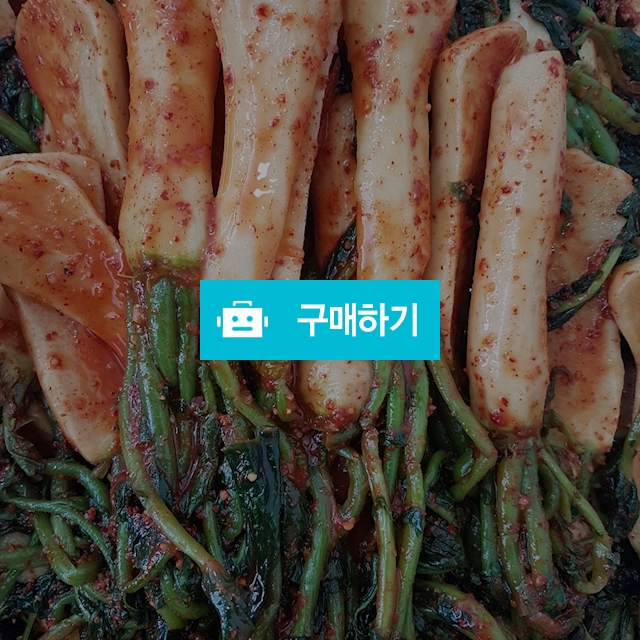 알타리김치 / love1203 / 디비디비 / 구매하기 / 특가할인