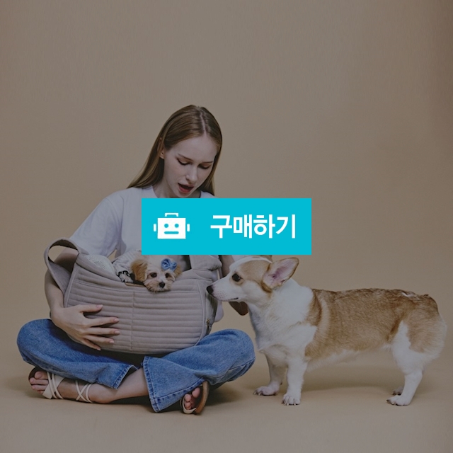 개과천선 치프 슬링백 강아지 이동가방 고양이 이동장 애견 외출용품 산책가방 앞 포대기 / 개과천선 / 디비디비 / 구매하기 / 특가할인