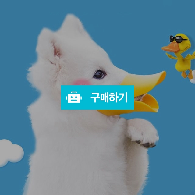 마이독 강아지 오리 입마개 / 마이독님의 스토어 / 디비디비 / 구매하기 / 특가할인