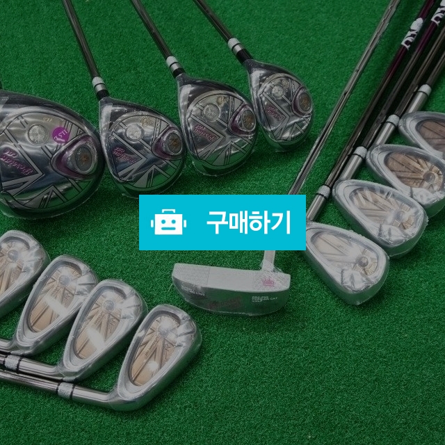 페르시안캣 샬롯 실버 여성골프채풀세트 / 문장군님의 스토어 / 디비디비 / 구매하기 / 특가할인