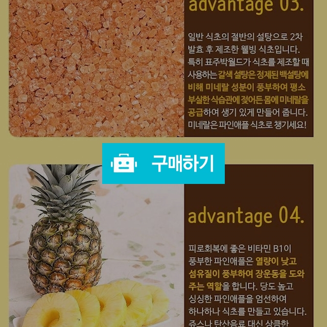 섬유질이 살아있는 수제발효 파인애플식초 / 루피나님의 스토어 / 디비디비 / 구매하기 / 특가할인