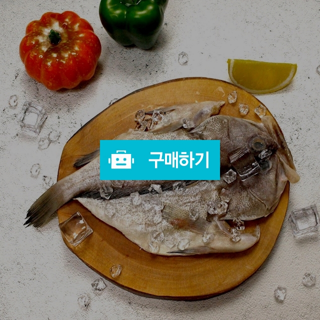 자연산 반건조 능성어 2kg / 굴비댁님의 스토어 / 디비디비 / 구매하기 / 특가할인