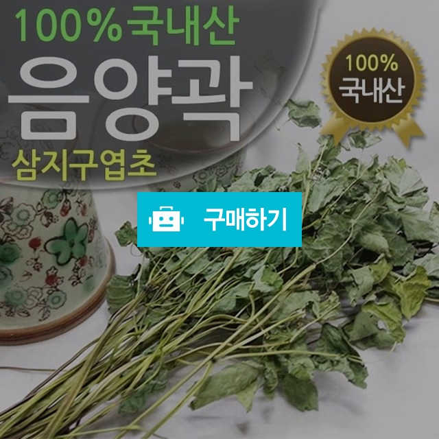 진도허브 국내산 음양곽 삼지구엽초 300g / 약선식품과 청정 진도 농특산 / 디비디비 / 구매하기 / 특가할인