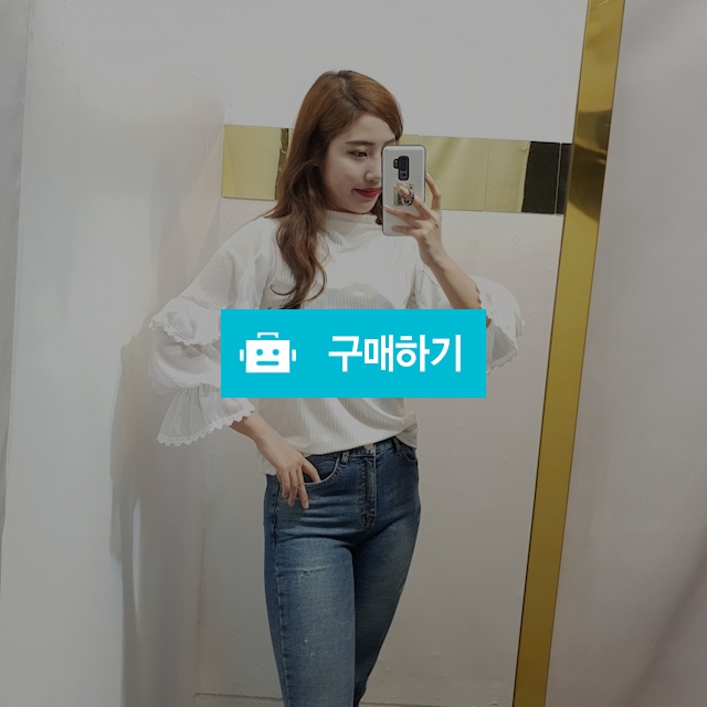 골지 벨벳 시스루 파티블라우스 / 난언니네님의 스토어 / 디비디비 / 구매하기 / 특가할인