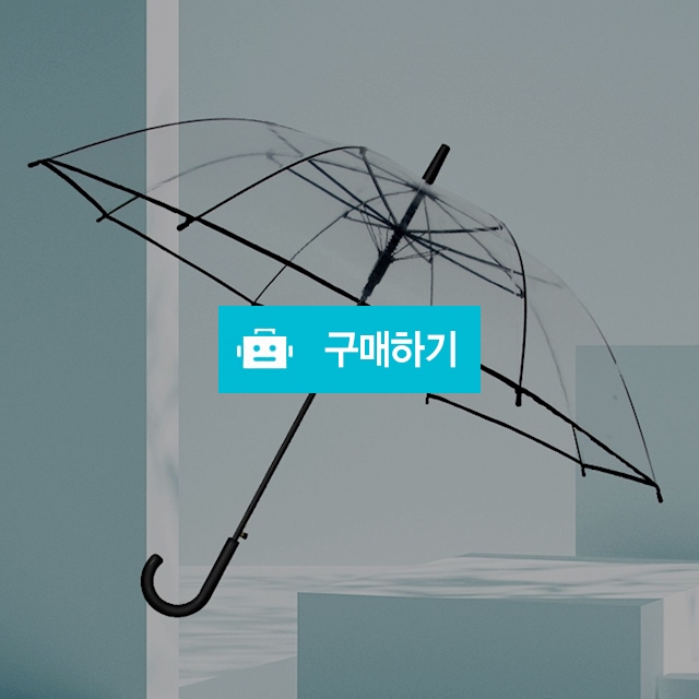[앤어바웃] 투명 비닐 블랙라인 우산 2P / 앤어바웃 / 디비디비 / 구매하기 / 특가할인