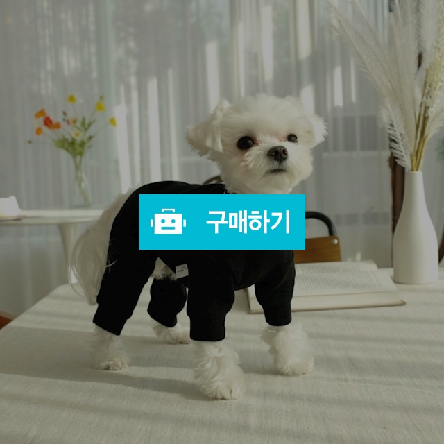 무지 맨투맨 올인원 / 밍밈님의 스토어 / 디비디비 / 구매하기 / 특가할인