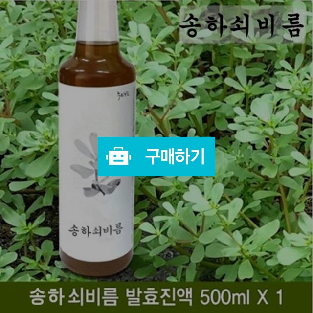 쇠비름 전통발효 효소 / 힐링룸(Healing Room) / 디비디비 / 구매하기 / 특가할인