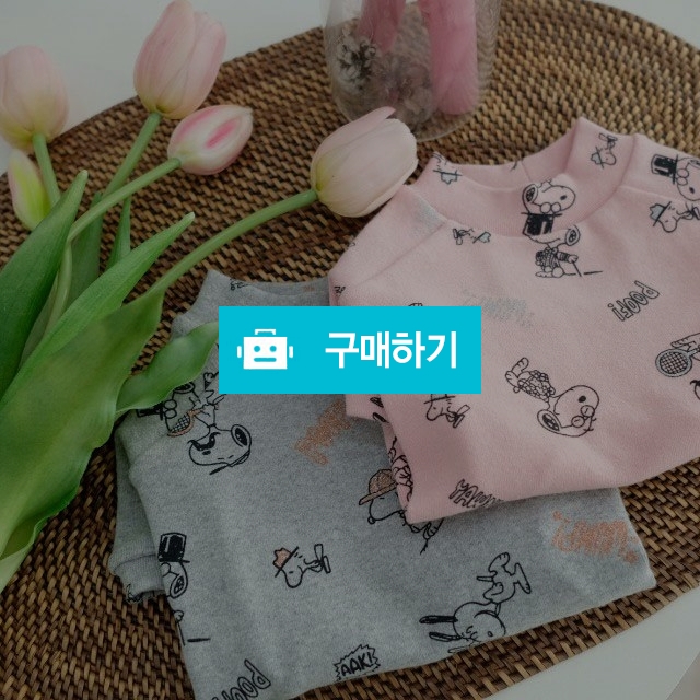 강아지옷 봄신상 스누피 티셔츠 2color  무료배송 / PET DRESS / 디비디비 / 구매하기 / 특가할인