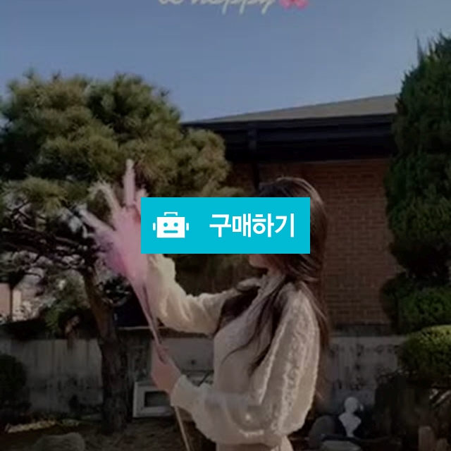 로맨스 진주단추 레이스 자수블라우스 / 잇츠스트릿 / 디비디비 / 구매하기 / 특가할인