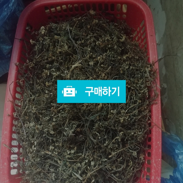 말린 고사리 / 신선채소님의 스토어 / 디비디비 / 구매하기 / 특가할인