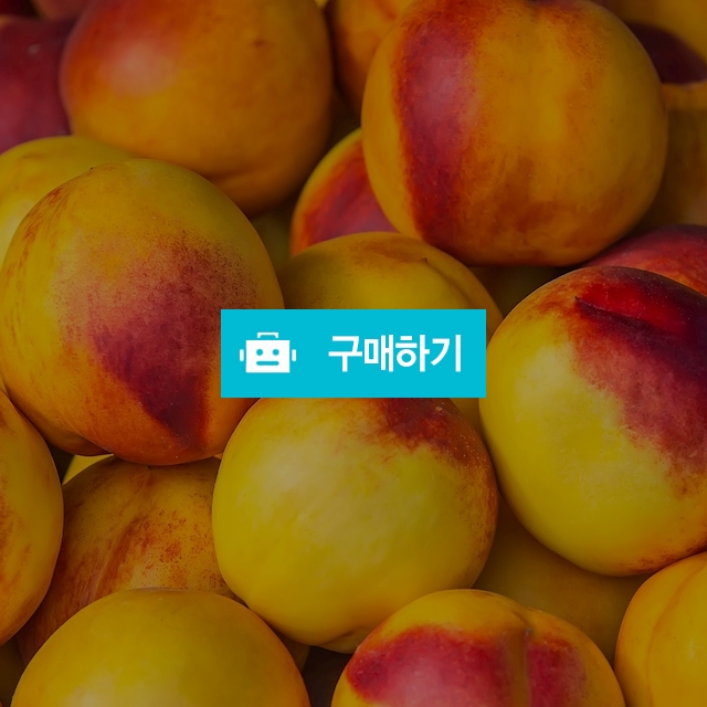 달콤 말랑 망고 복숭아 1kg 소과 2kg 중과 로얄과 / 영 프루트 Young Fruits / 디비디비 / 구매하기 / 특가할인