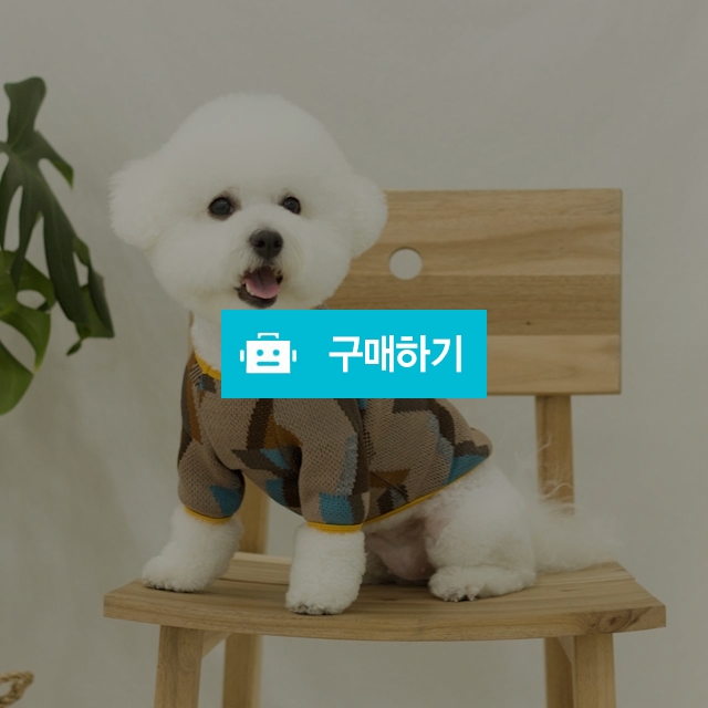 카인드 강아지 니트 _ 브라운 / 퍼피온님의 스토어 / 디비디비 / 구매하기 / 특가할인