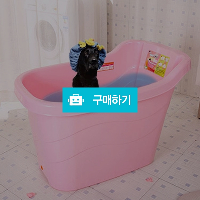 강아지 다용도욕조 스파 대형견욕조 반신욕 / 마이독님의 스토어 / 디비디비 / 구매하기 / 특가할인