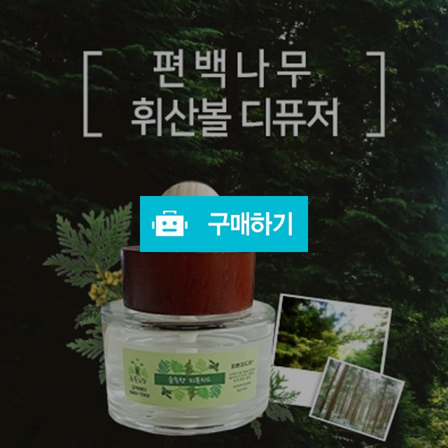 초록느낌 차량용 천연 피톤치드 디퓨저(방향제)100ml / 차량 및 각종실내냄새 제거 / 초록느낌 / 디비디비 / 구매하기 / 특가할인