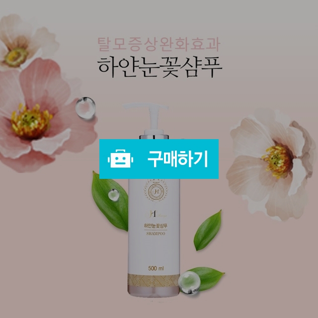 하얀눈꽃샴푸 500ml (탈모증상완화효과,하얀눈꽃가루첨가,미네랄샴푸) / 낫컴플렉스님의 스토어 / 디비디비 / 구매하기 / 특가할인