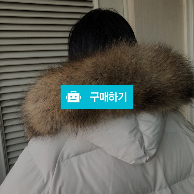 리얼라쿤 롱패딩 / 김태영897님의 스토어 / 디비디비 / 구매하기 / 특가할인