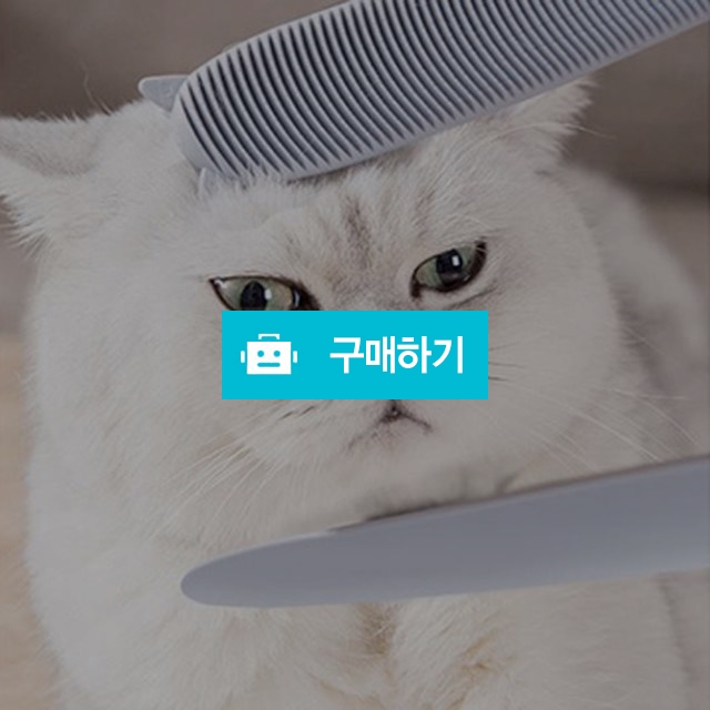 반려동물 브러쉬 소프트 고양이빗 엉킨털 죽은털제거 그루밍 브러쉬 / 댕유마켓님의 스토어 / 디비디비 / 구매하기 / 특가할인