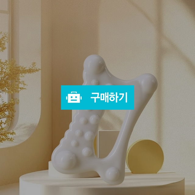 세라온 미녀 만들 괄사 스틱 부기제거 림프순환 혈행개선 / 삼촌샵스님의 스토어 / 디비디비 / 구매하기 / 특가할인