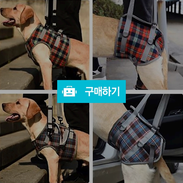 (중 대형견용)뒷다리 앞다리 아픈 강아지 산책 보조 하네스 제라미펫 / 제라미펫님의 스토어 / 디비디비 / 구매하기 / 특가할인