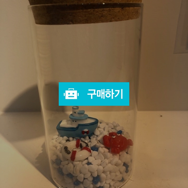 마리모 바다세트 / 도심정원님의 스토어 / 디비디비 / 구매하기 / 특가할인