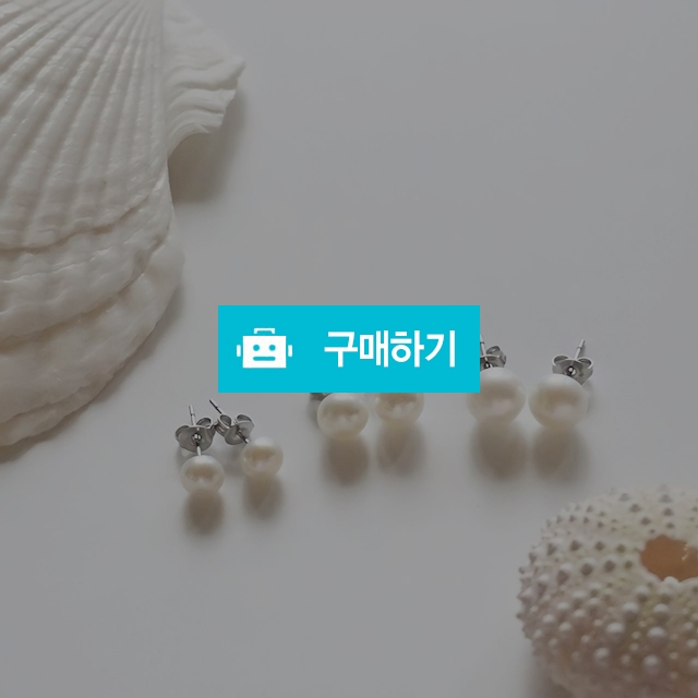 [써지컬스틸]천연 담수 진주 귀걸이 납작 진주 귀걸이 / 제이로블 / 디비디비 / 구매하기 / 특가할인