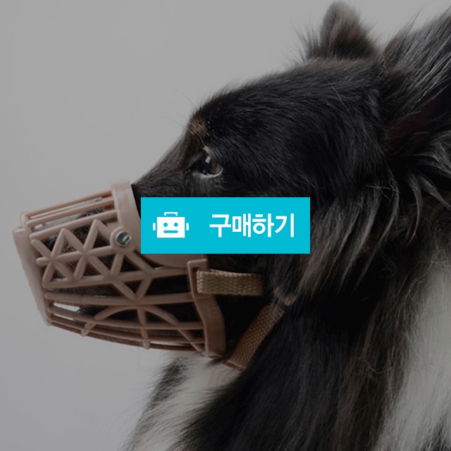 강아지 플라스틱 입마개 / 마이독님의 스토어 / 디비디비 / 구매하기 / 특가할인