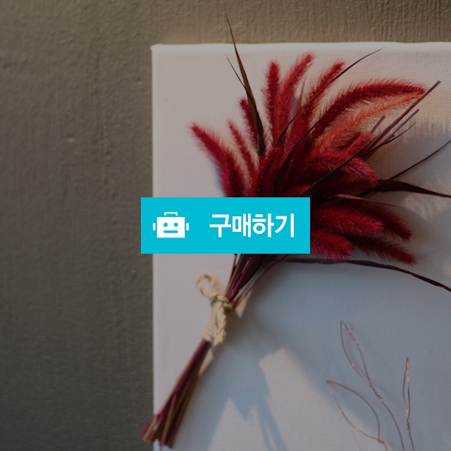 드라이플라워 캔버스 소품_Red / rhaoddl0830님의 스토어 / 디비디비 / 구매하기 / 특가할인