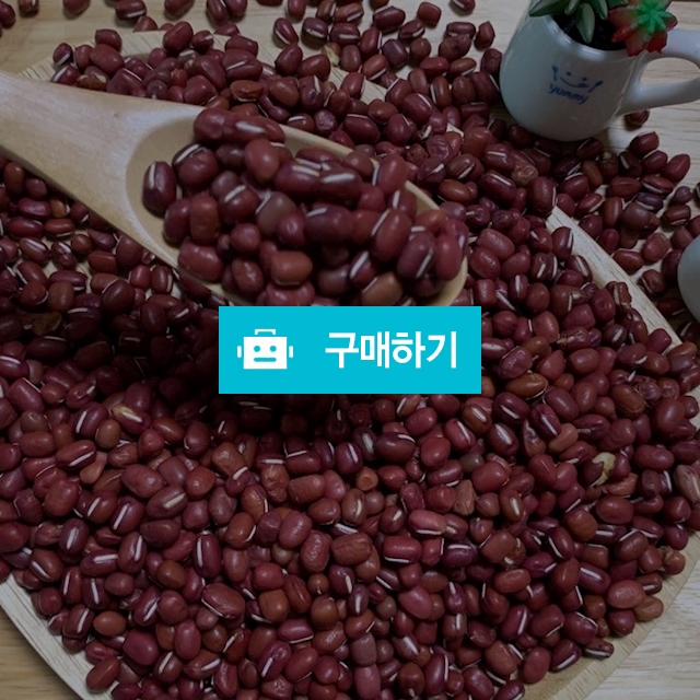 국산 팥(적두) / 대박유통 스토어 / 디비디비 / 구매하기 / 특가할인