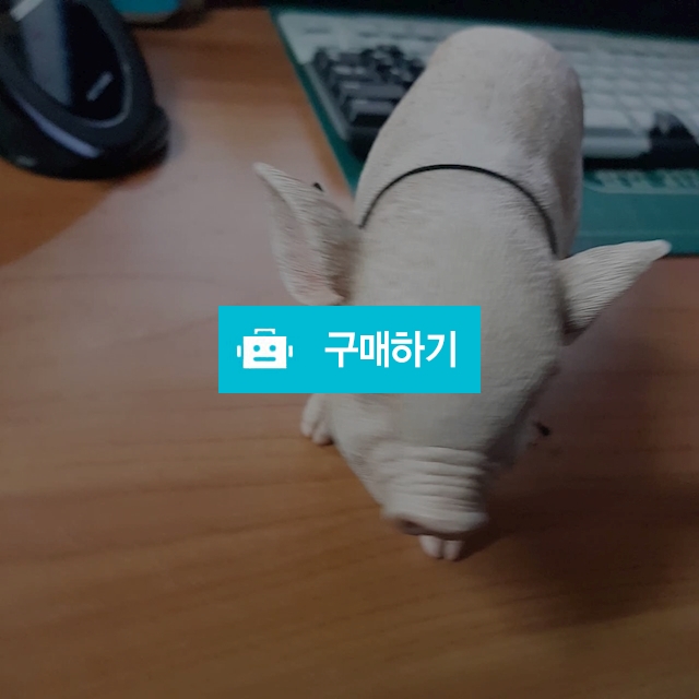 귀요미 돼지 / 아름다운 하우스 / 디비디비 / 구매하기 / 특가할인