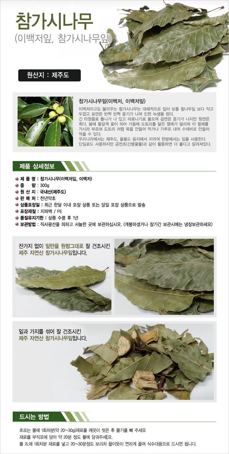 제주도 참가시나무잎 300g, 10,000원, 천년약초님의 스토어 [디비디비] 제주도 참가시나무잎 300g | 10,000원