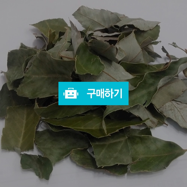 제주도 참가시나무잎 300g / 천년약초님의 스토어 / 디비디비 / 구매하기 / 특가할인