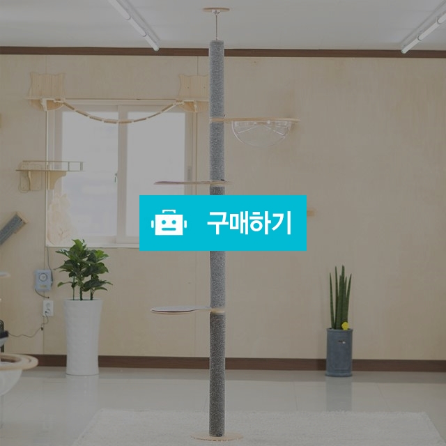 고양이 원목 캣폴 스크래쳐 5단 발판 3개 투명해먹 / 엔디님의 스토어 / 디비디비 / 구매하기 / 특가할인